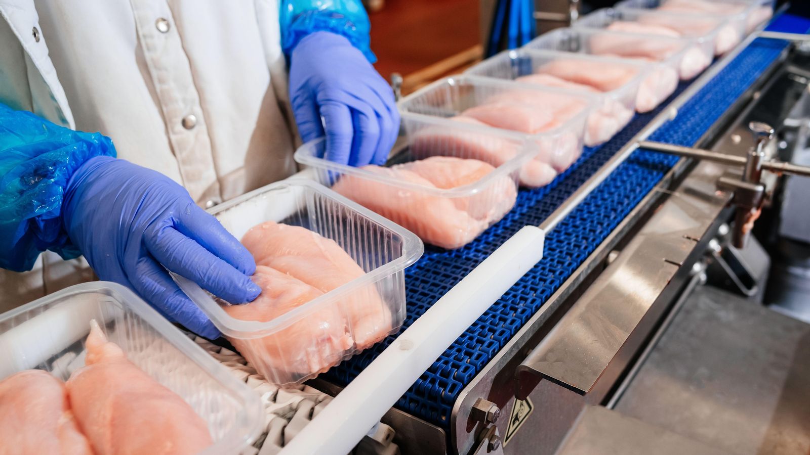 La carn de pollastre no pot importar-se a la Xina des de fa uns dies