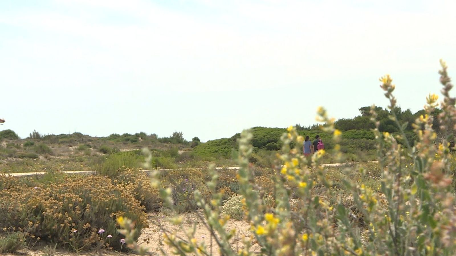 El pulmó amenaçat de la Devesa