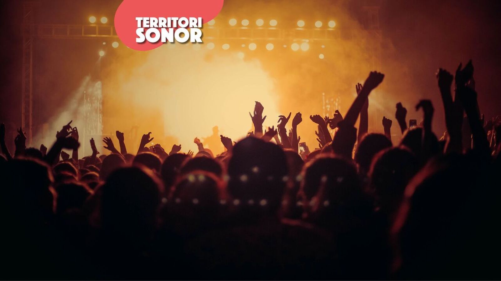 06.01.2025 | Els concerts i festivals del 2025