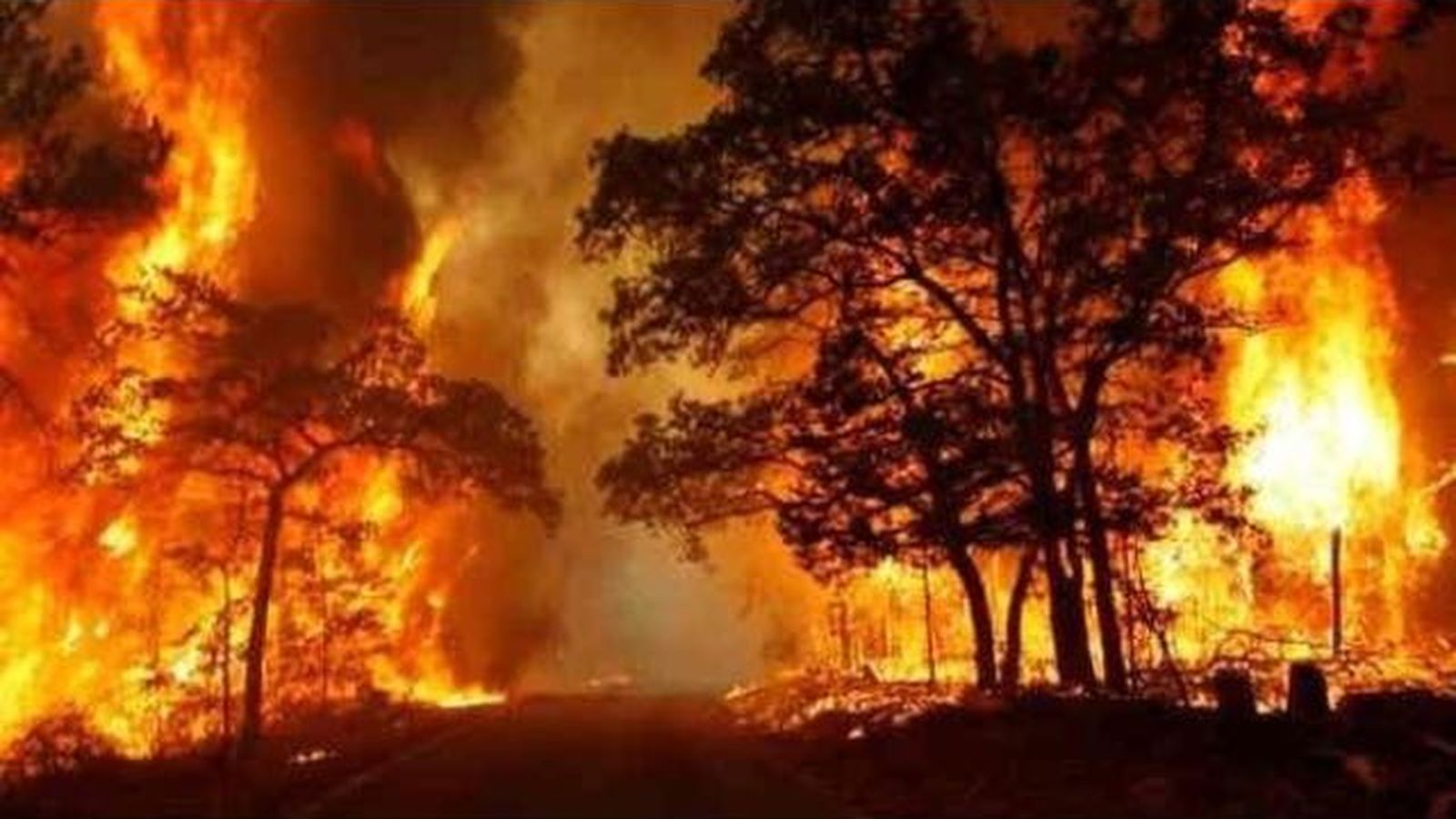 Les imatges de l\'incendi de Llutxent