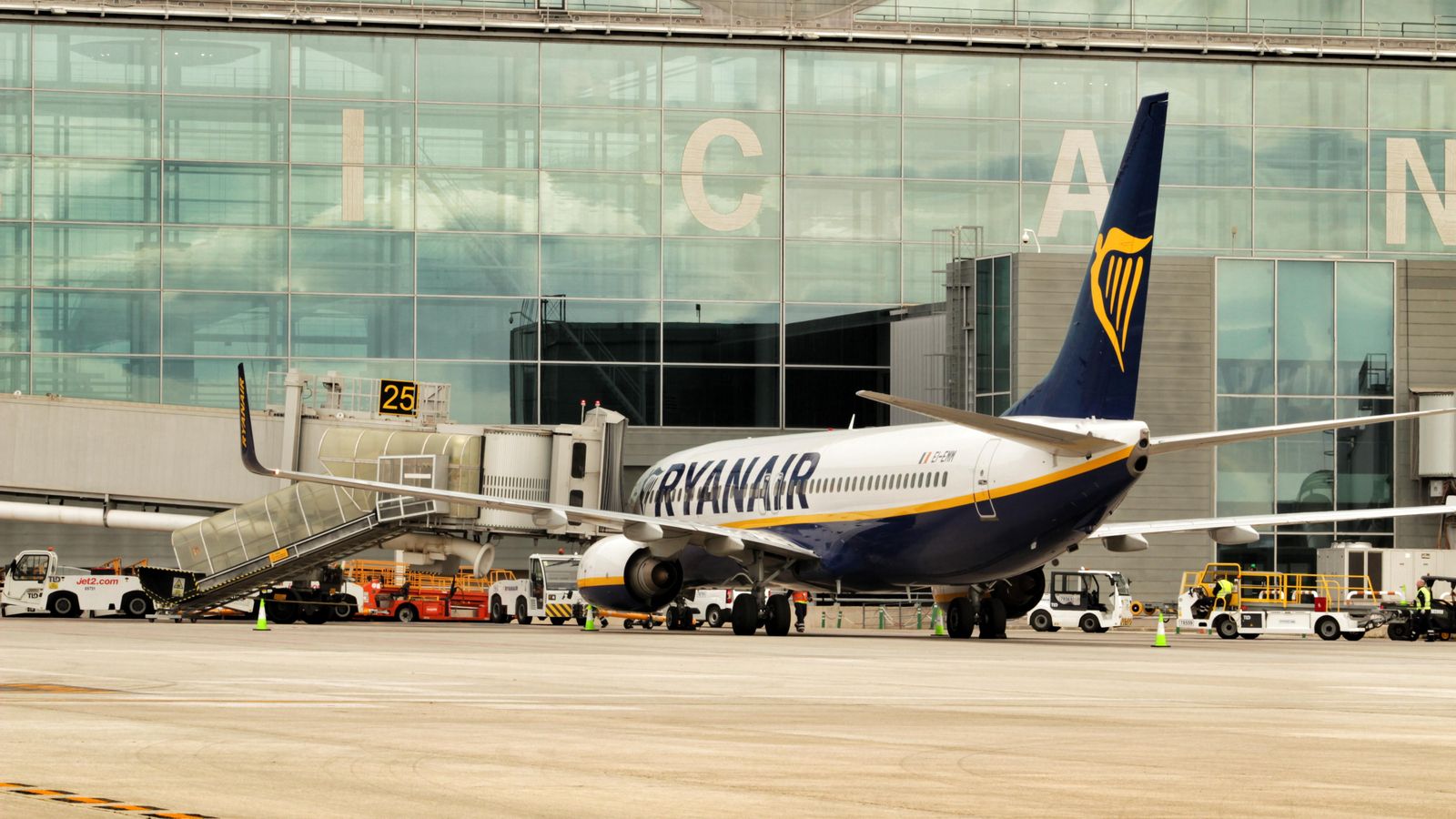 Avió de Ryanair en l'aeroport de l'Altet