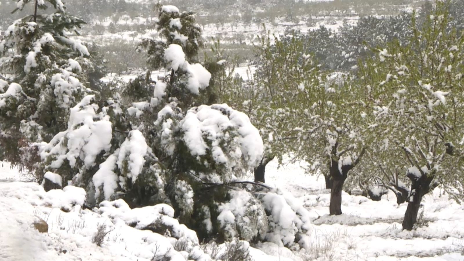 Una imatge d'arxiu de la neu a la Comunitat Valenciana
