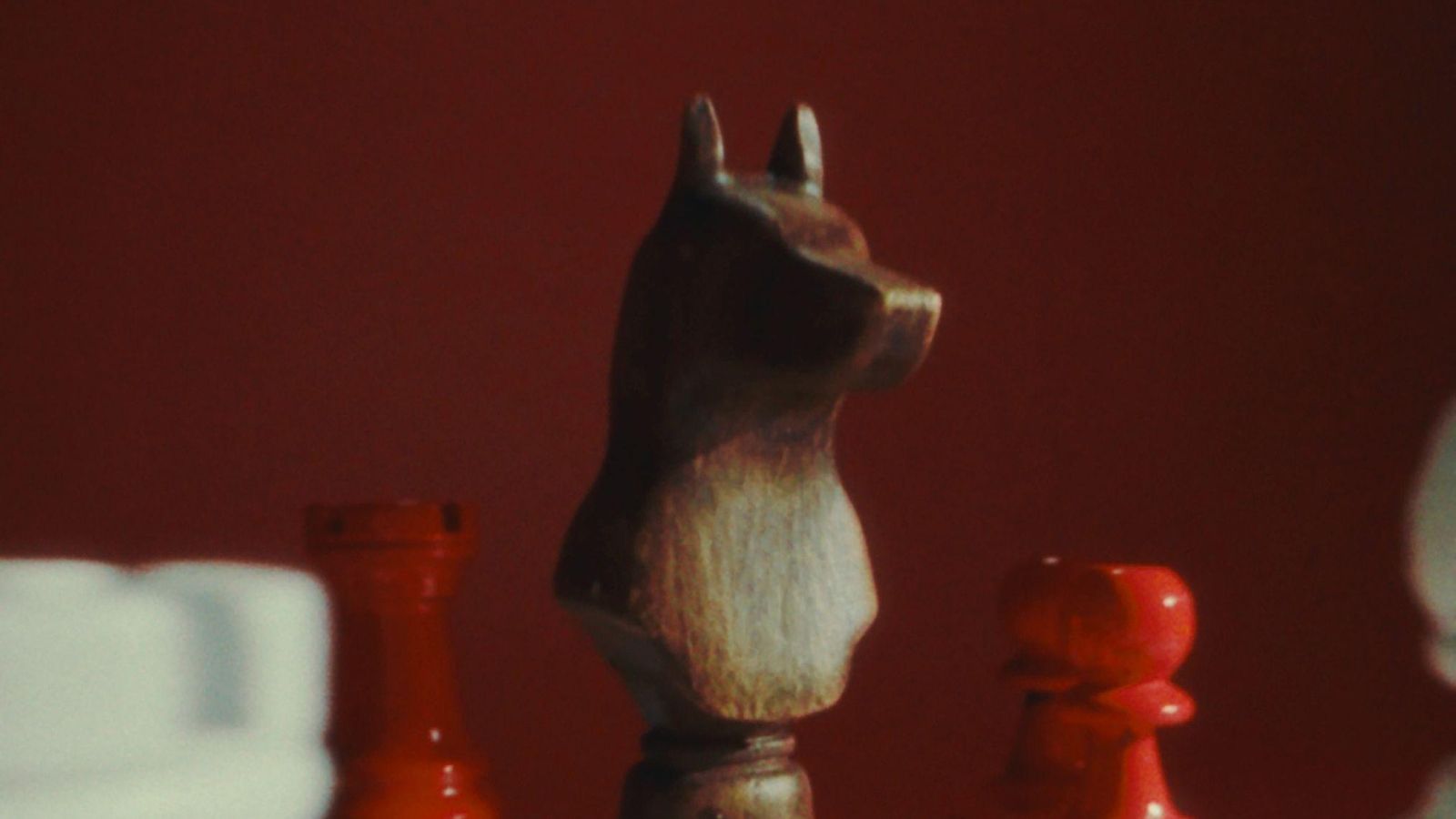 557635574 1363742675312106 3541725072435973522 n