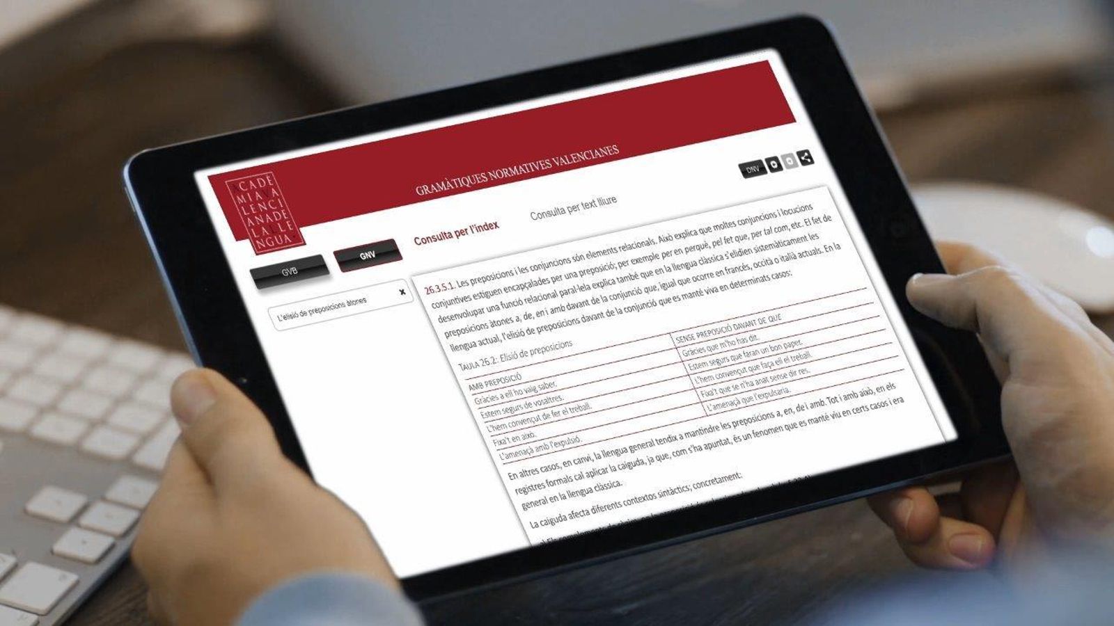 GRAMÀTIC-ON, la nova aplicació de l'AVL