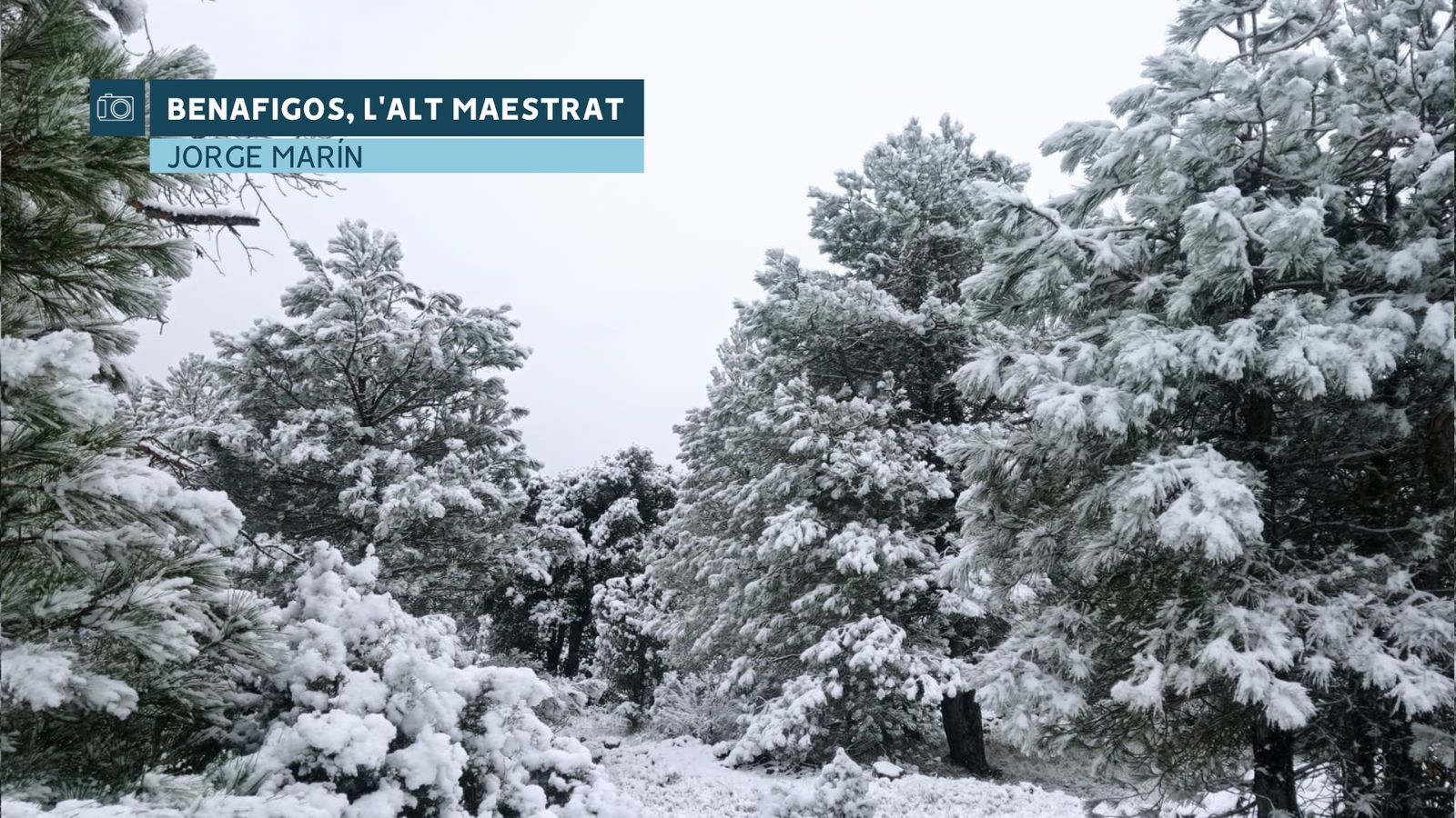 Febrer del 2023, fred i pluviomètricament normal