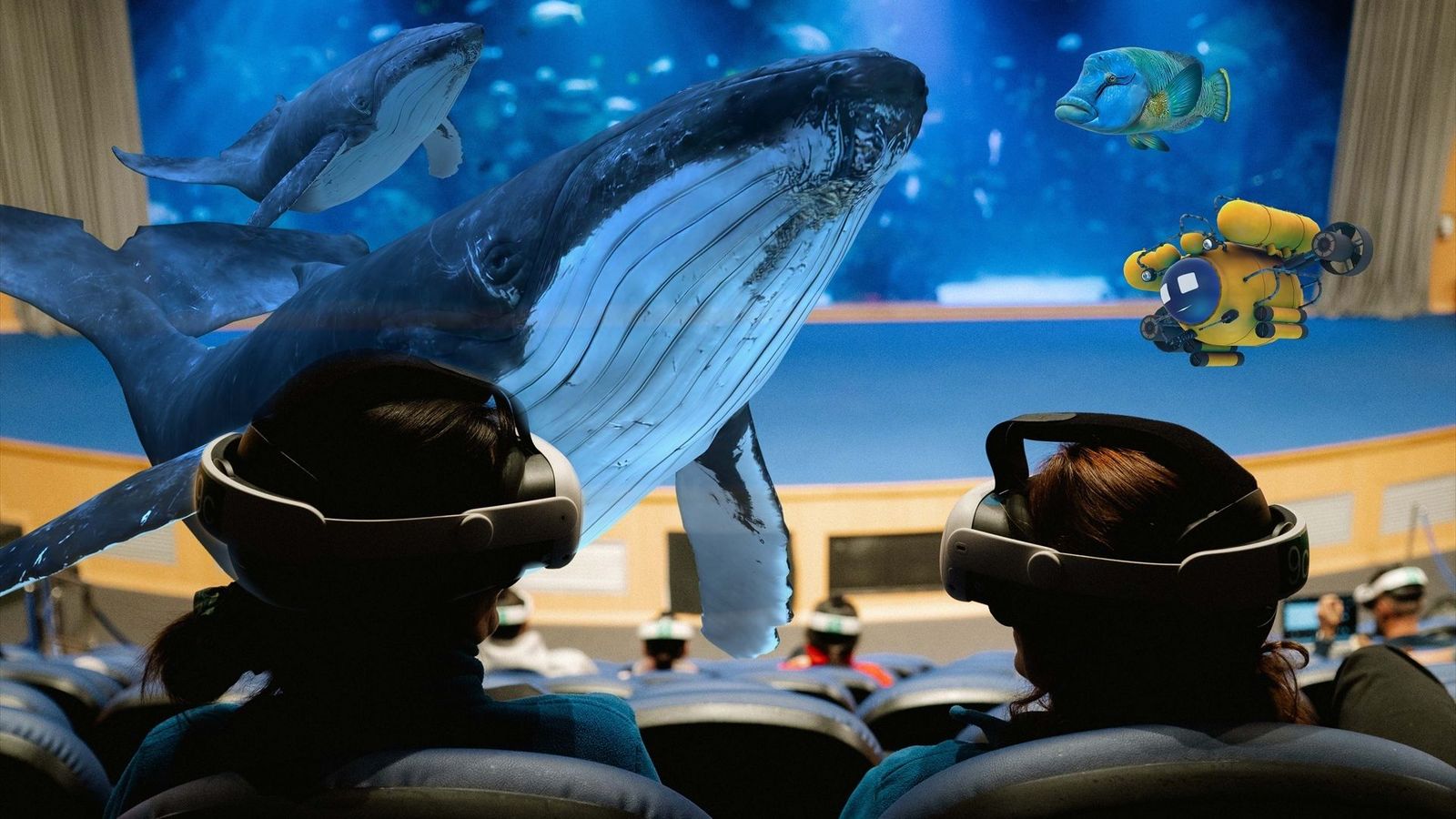 L'Oceanogràfic, immersiu