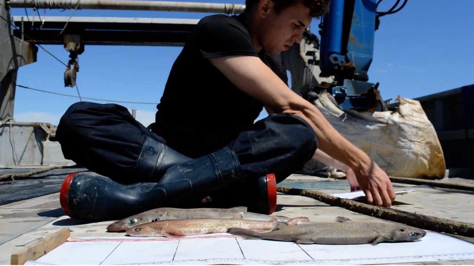 L'investigador David Ruiz va arreplegar dades per a l'estudi de les zones d’importància per a la conservació d'esquals i rajades des d'un vaixell de pesca