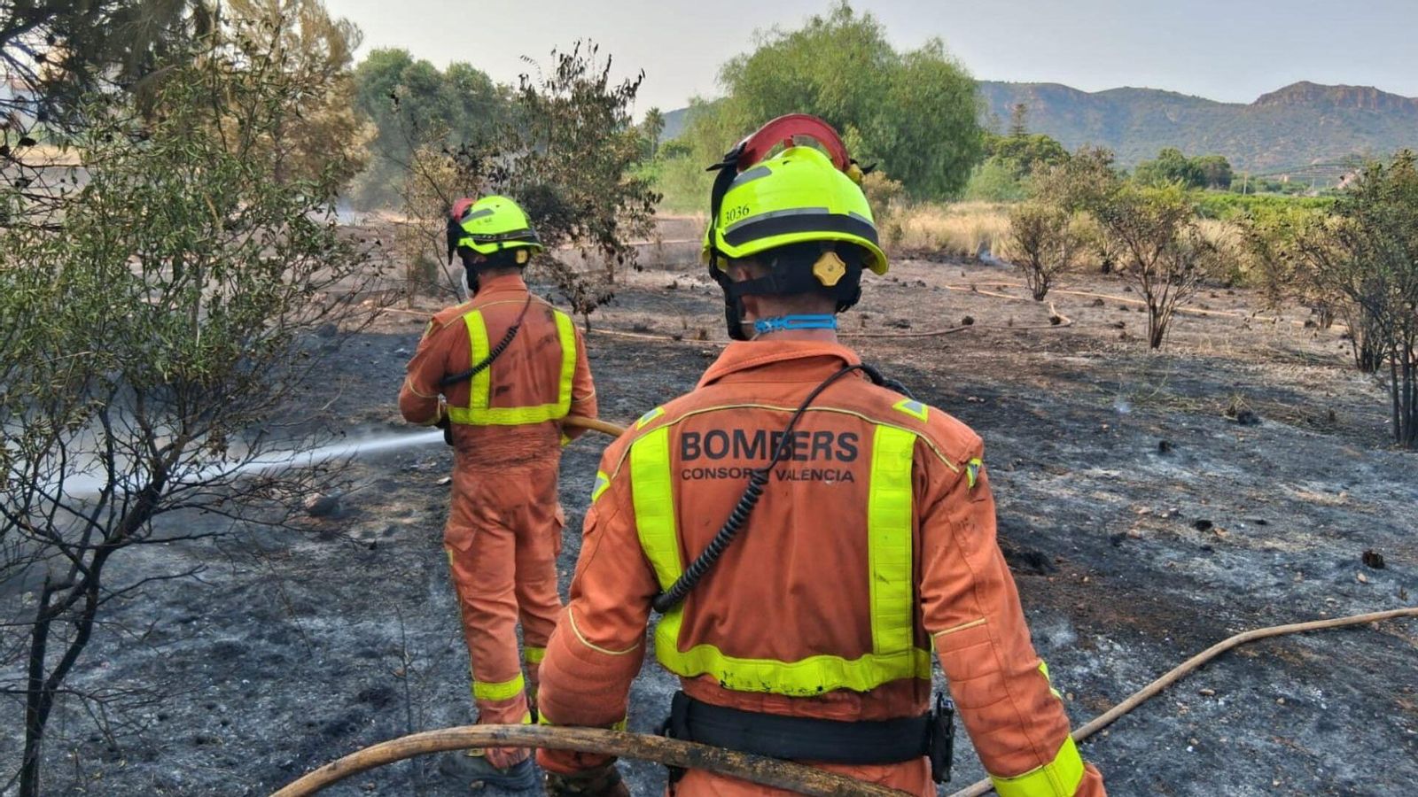 Bombers treballen en l'incendi de Xàtiva