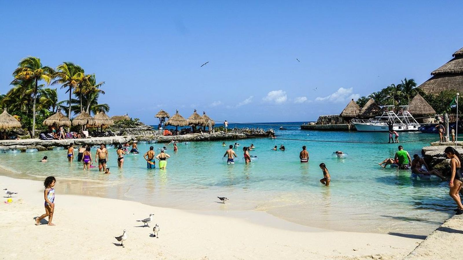 Llacuna dels Manatís, Cancún (Mèxic)