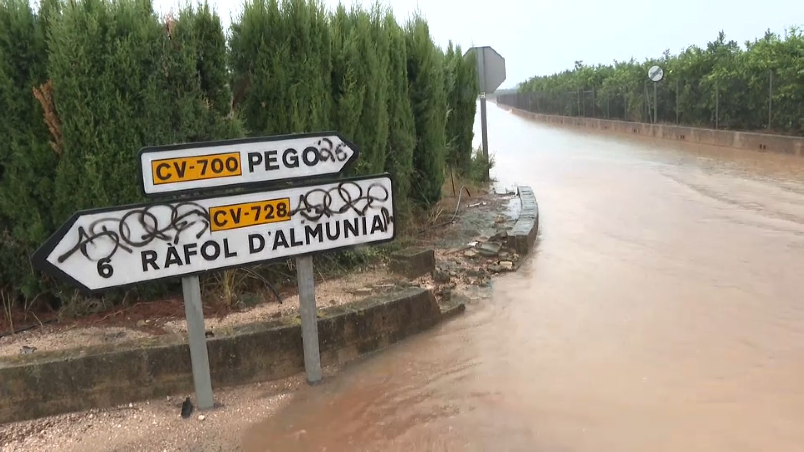 Camins negats a Pego, este dijous de matí