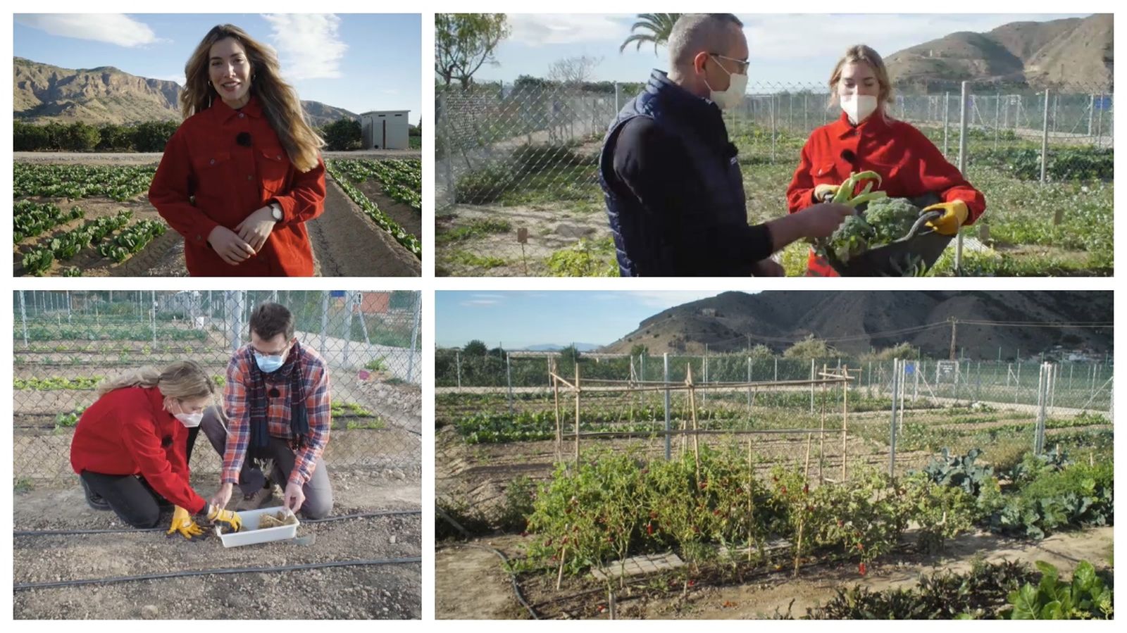Àlex blanquer ha volgut conéixer el perfil de gent que treballa la terra i s’ha trobat des d'una modista, fins a un professor d’escola i un mariner jubilat que ha dedicat els horts als nets.  