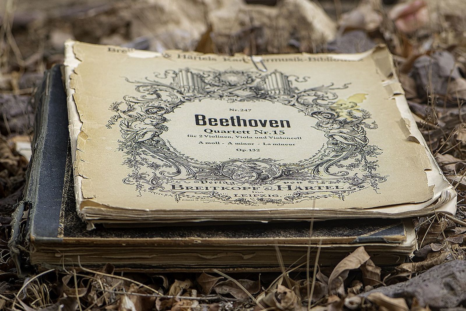 01.02.2020 | De banda a banda