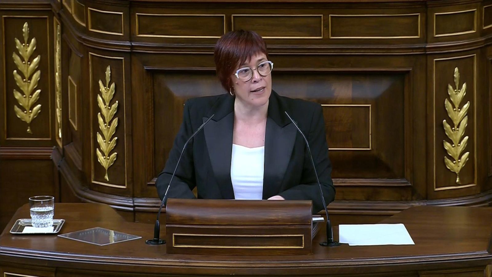 Águeda Micó, este dimecres al Congrés