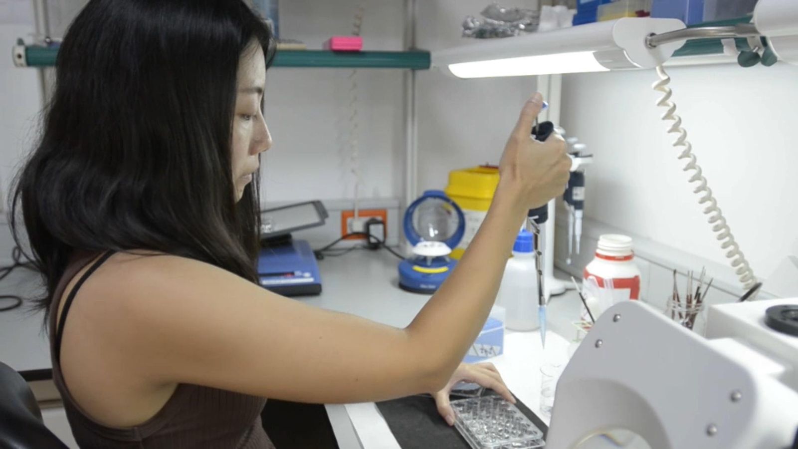 Una investigadora de l'Institut de Neurociències CSIC-UMH