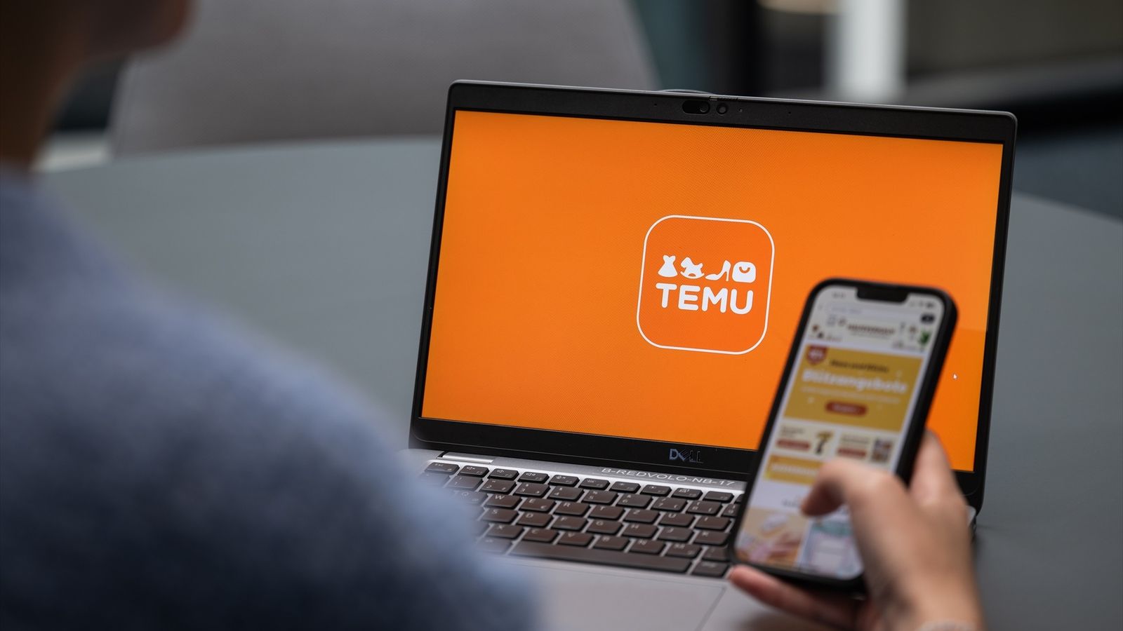 Inici de sessió en el web i l'app de Temu