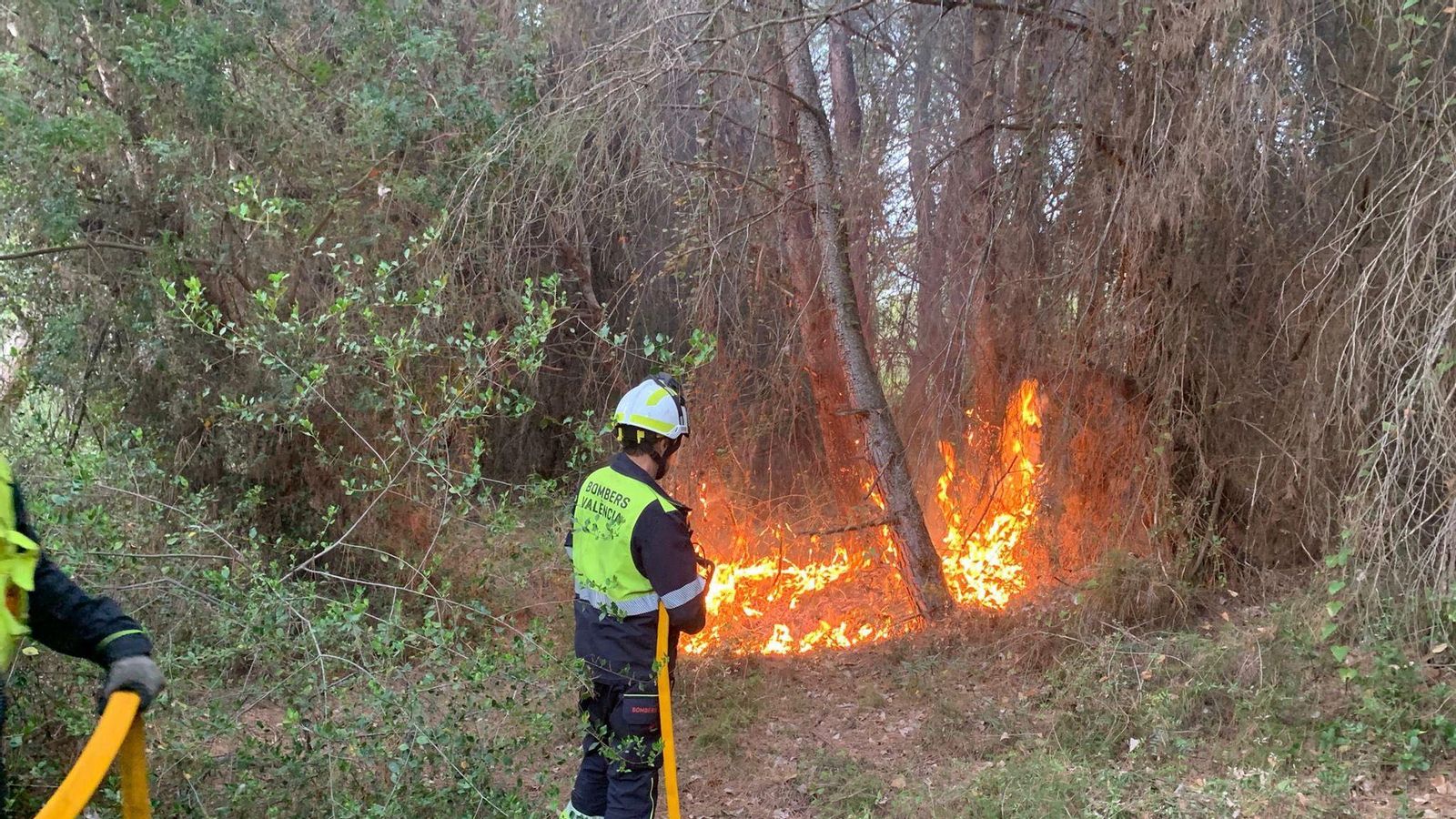 Incendi a la Devesa del Saler