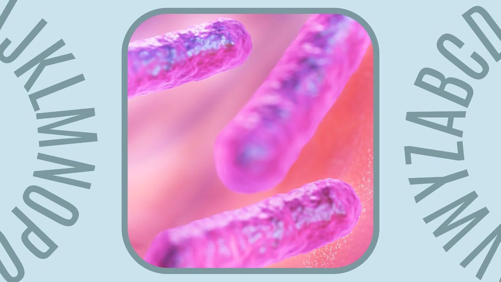 04.03.2026 | Investigació valenciana revela com la microbiota pot millorar la teràpia CAR-T