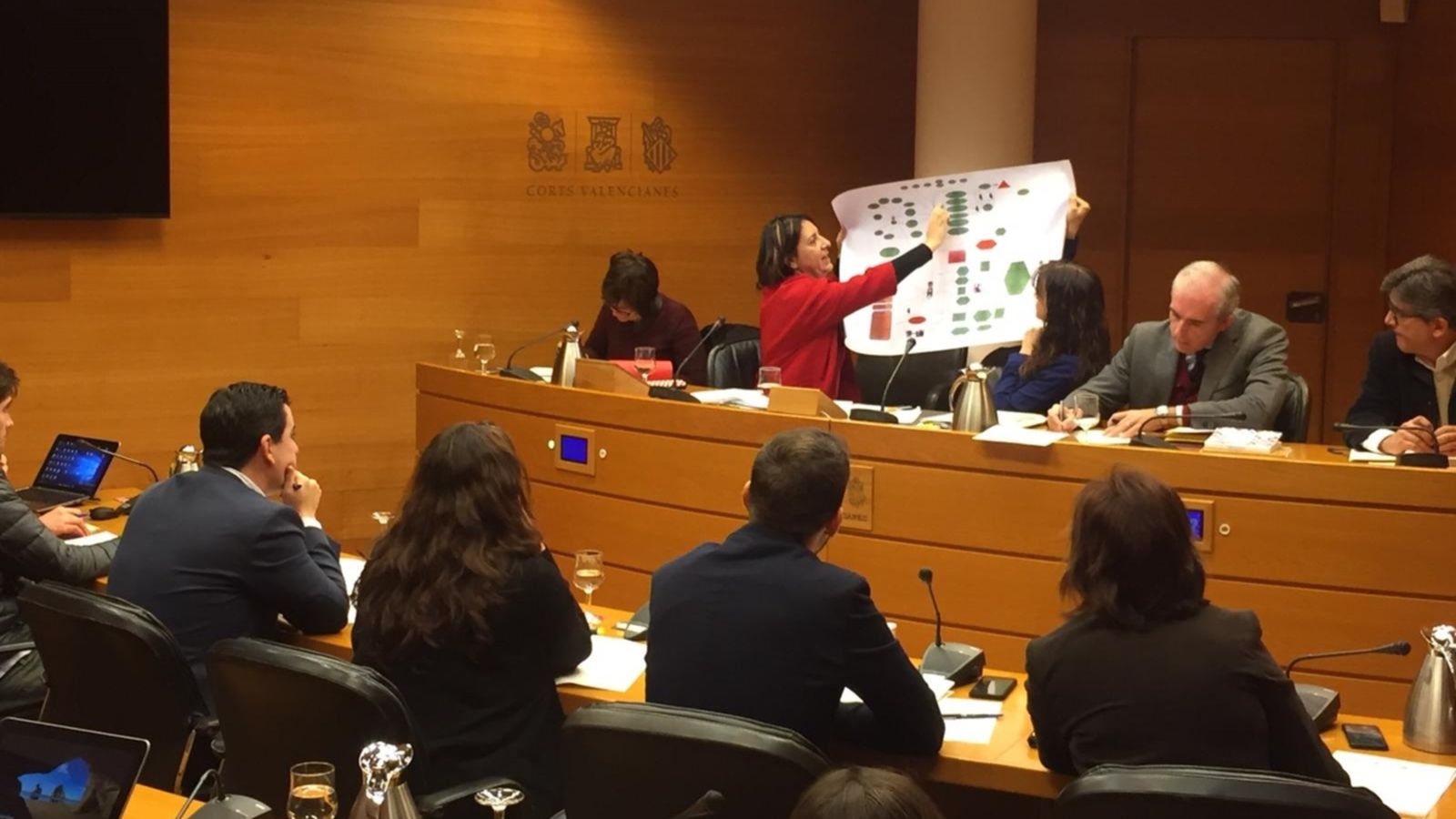 La coordinadora d'EUPV, durant la declaració a les Corts