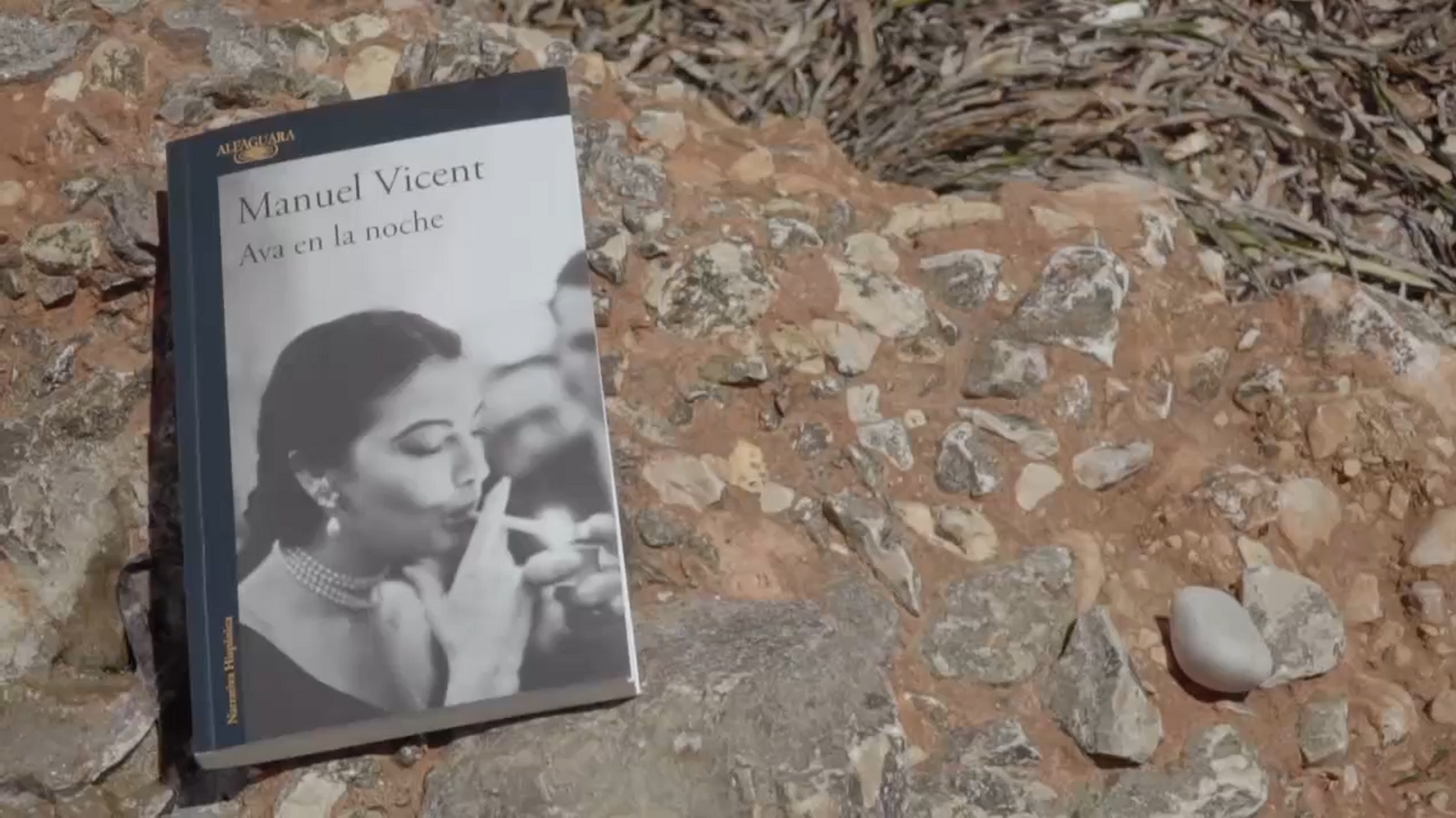 08.12.2020 | Manel Vicent -  Mery Sales