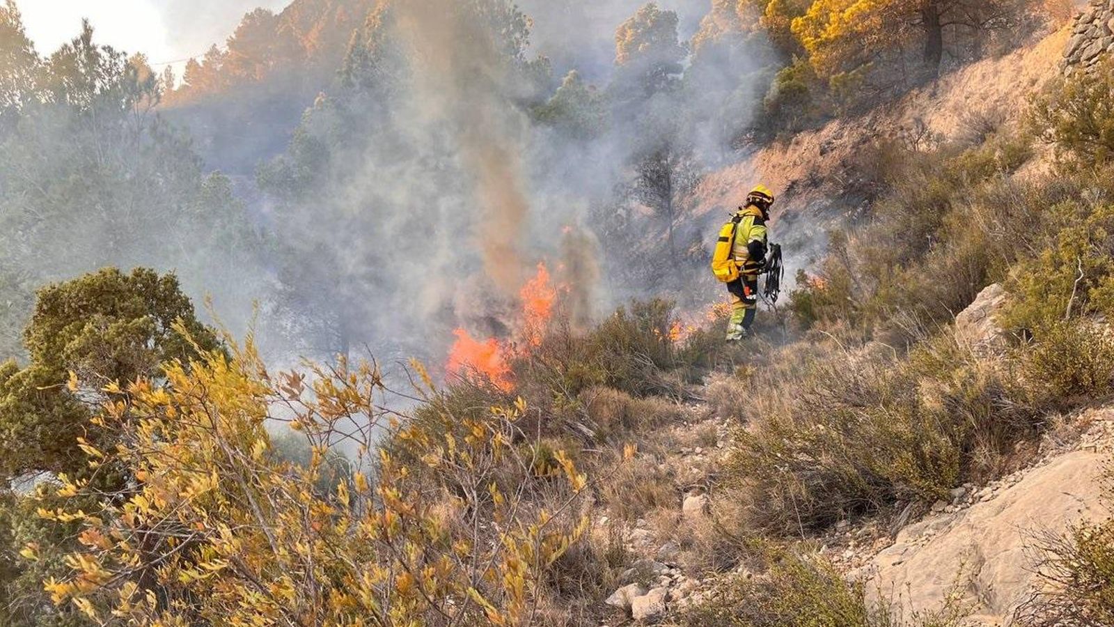Un bomber forestal treballa per a extingir l'incendi declarat a Sella, aquesta setmana