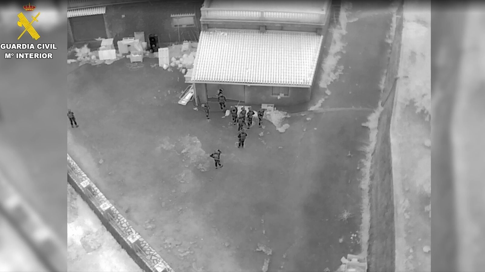 En vídeo, la intervenció de la finca de l'Olleria amb la plantació de marihuana