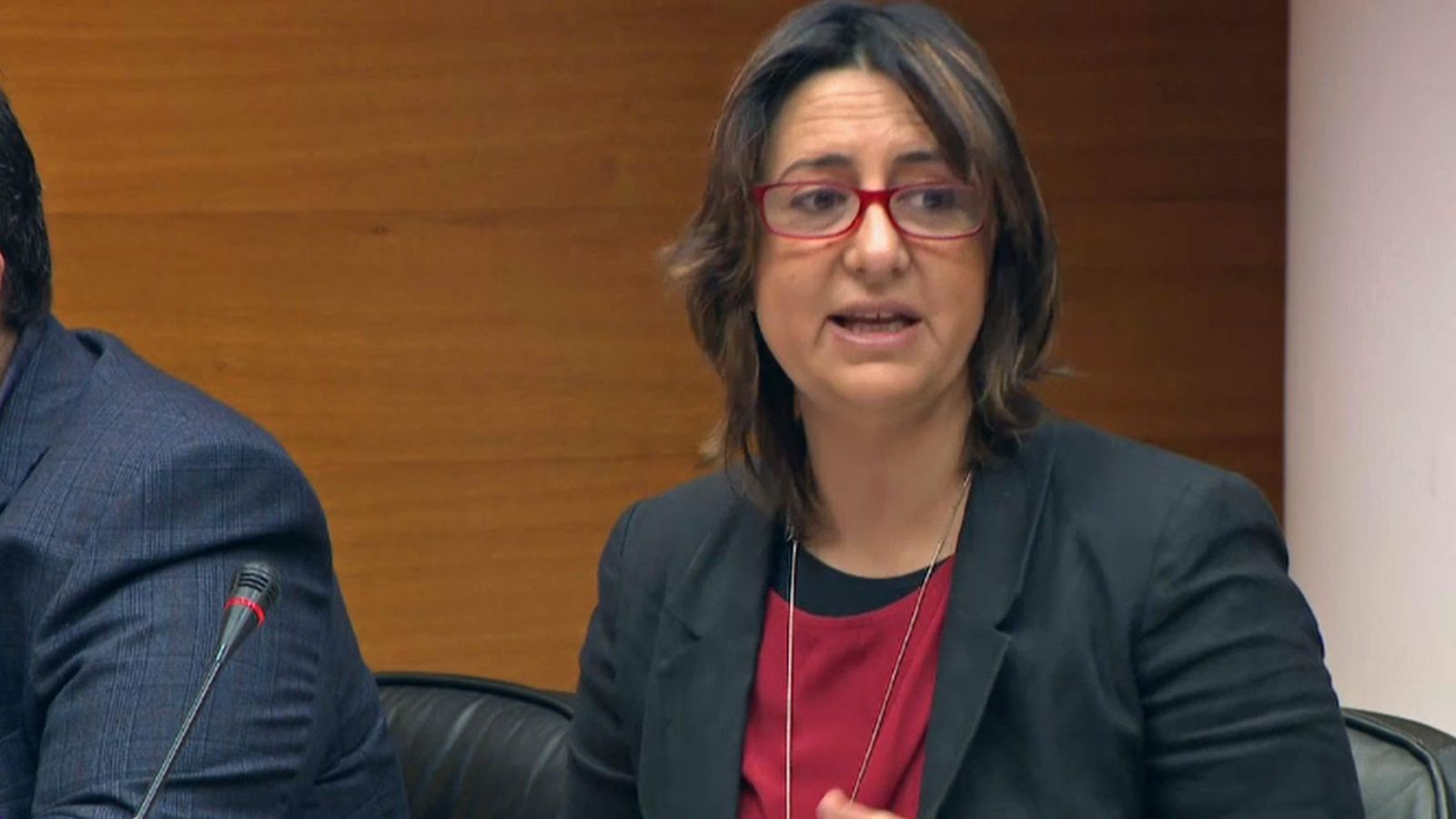 La consellera de Participació, Transparència, Cooperació i Qualitat Democràtica, Rosa Pérez Garijo