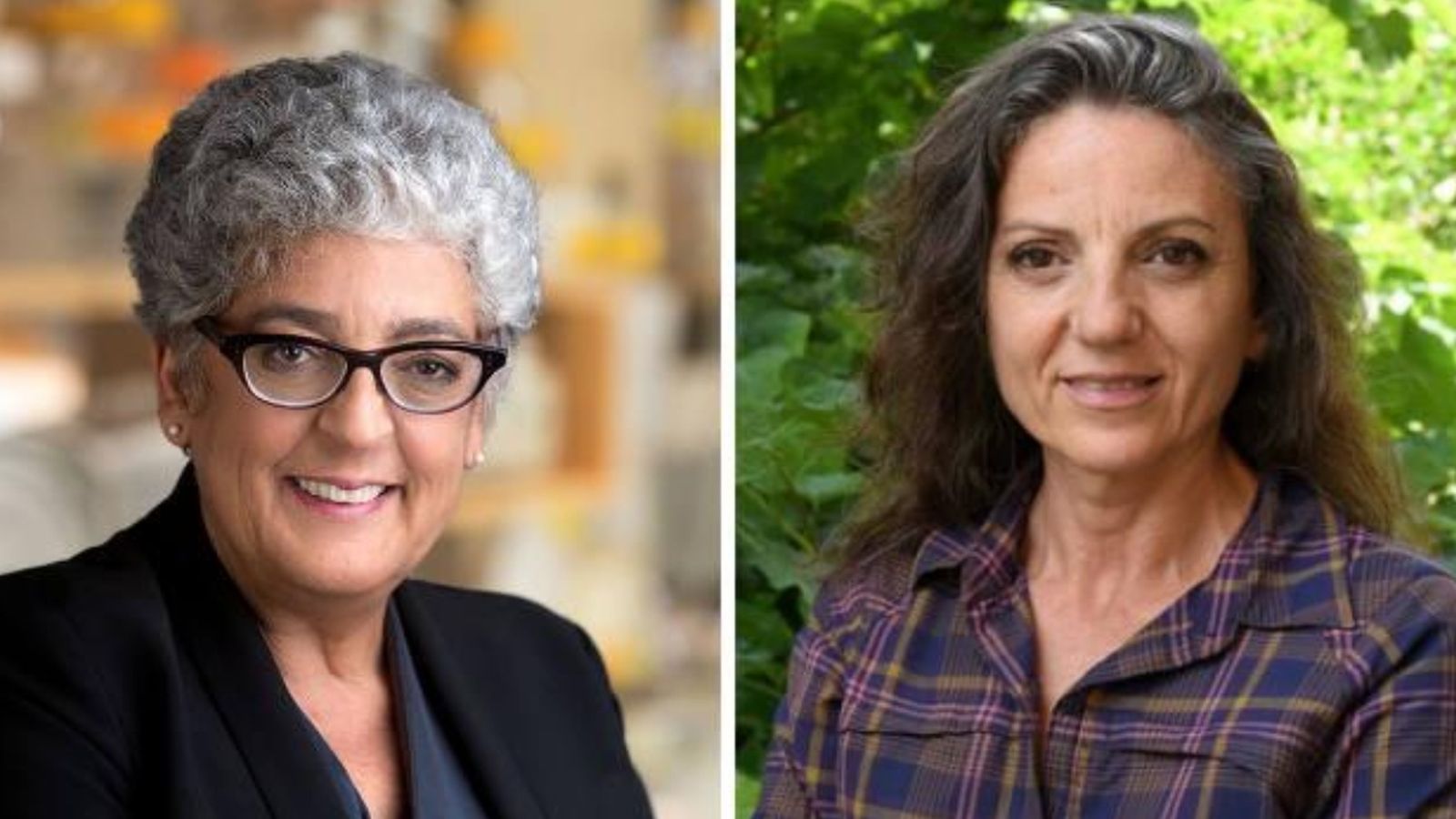 Joanne Chory i Sandra Myrna Díaz, Premi Princesa d’Astúries d’investigació