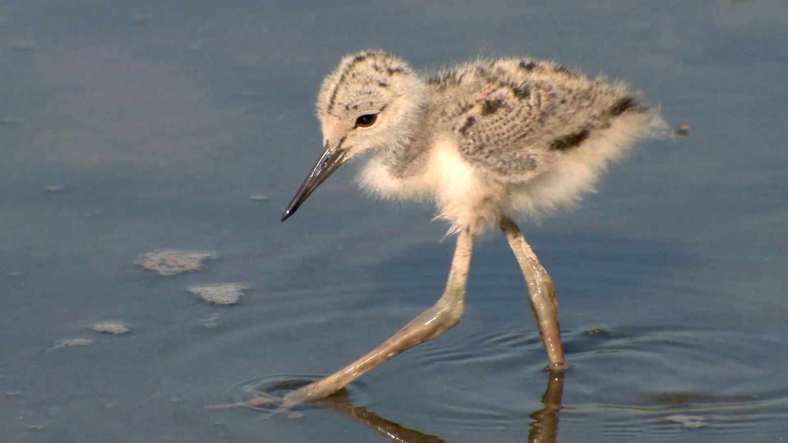 Un espai per a tota la família.