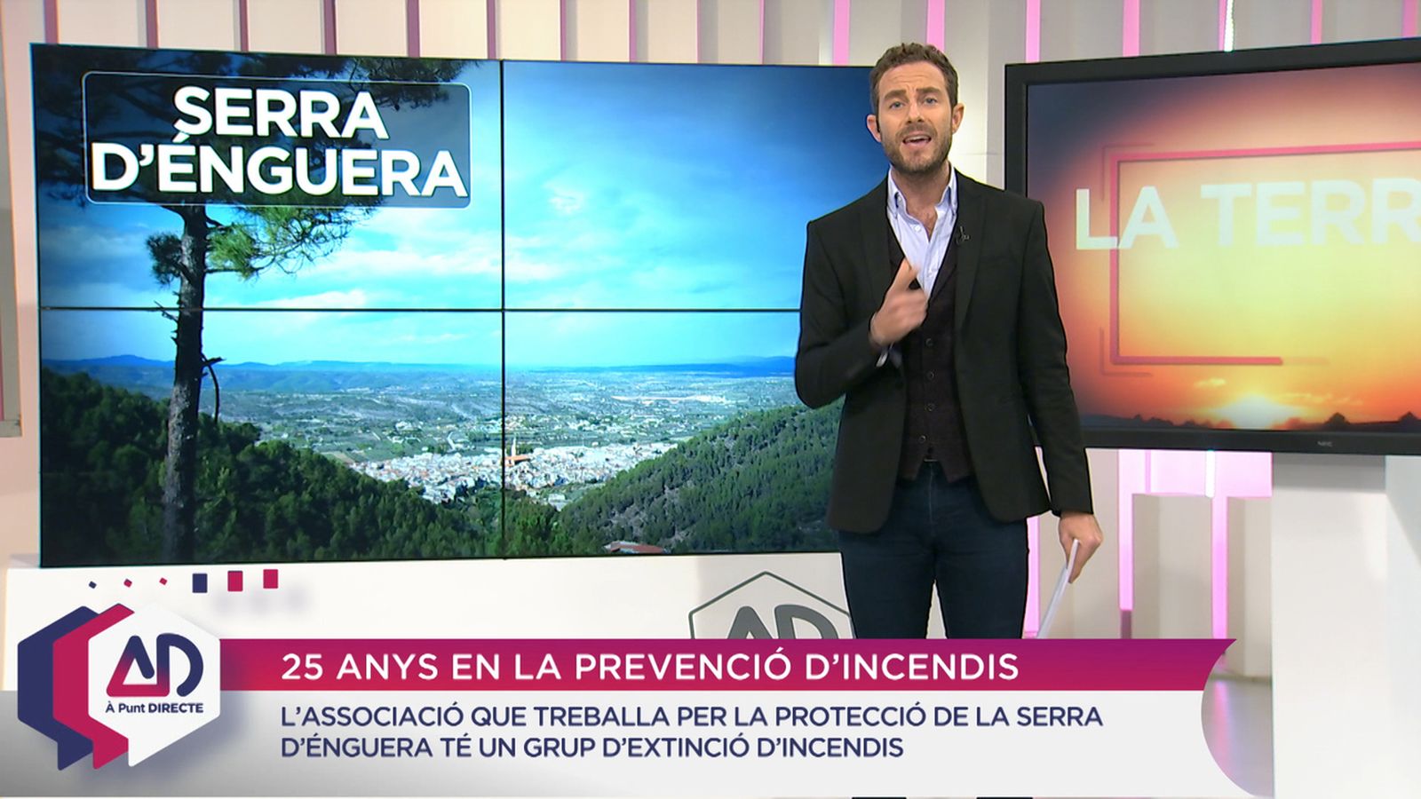 La terreta a la tardor