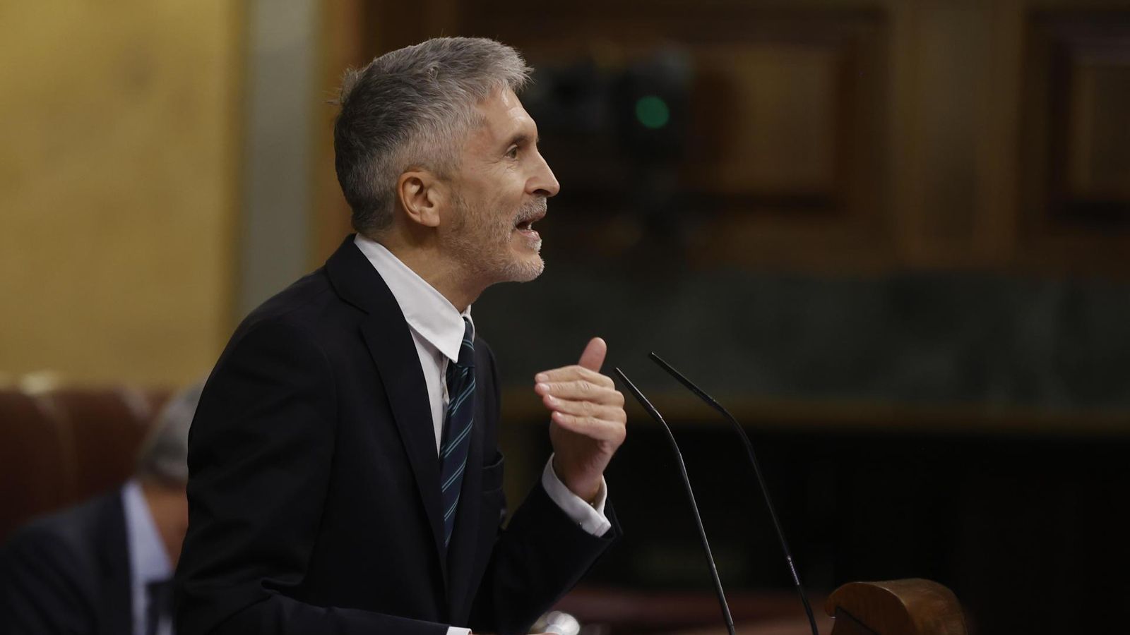 El ministre de l'Interior, Fernando Grande-Marlaska, aquest dimecres en el Congrés