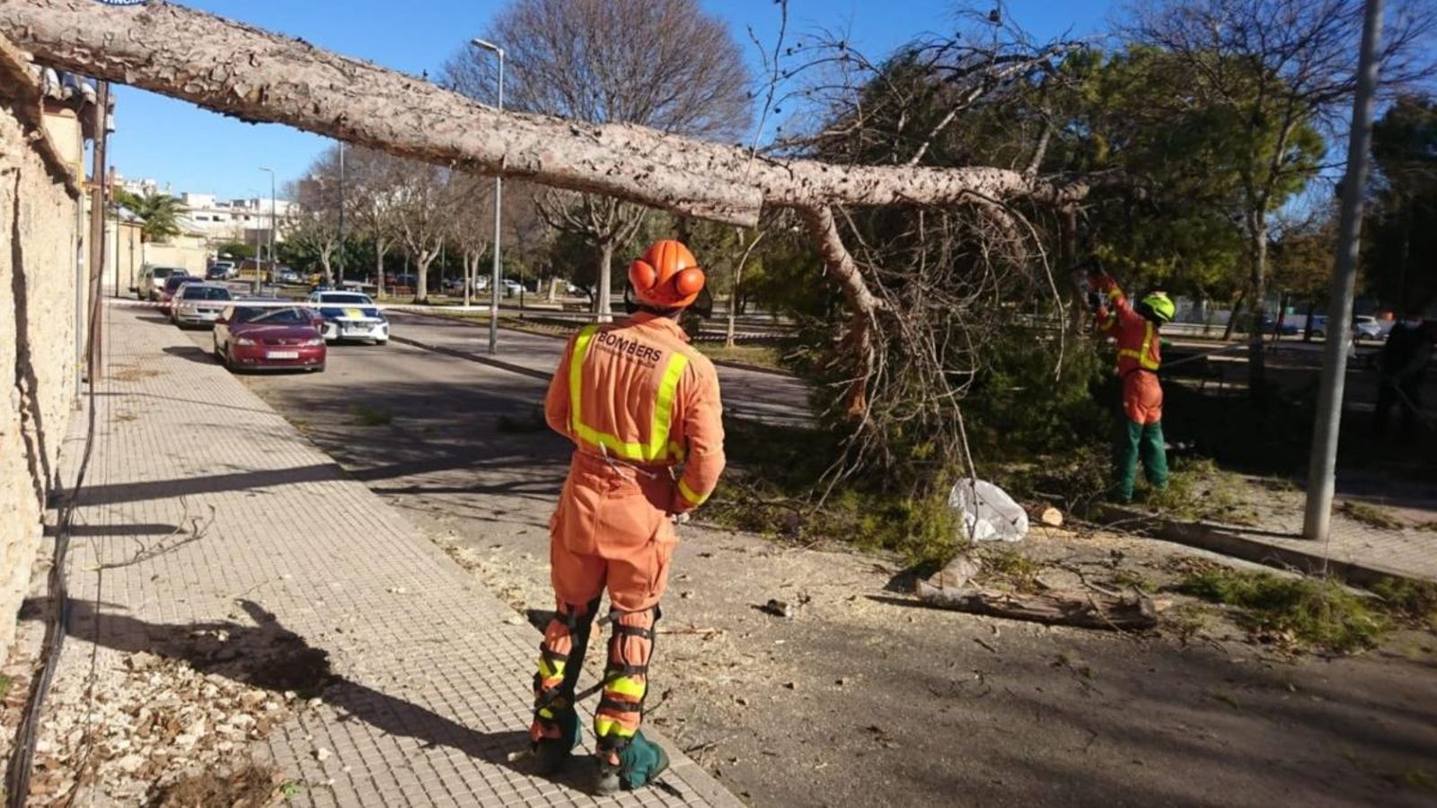 Els bombers retiren un arbre caigut a Benirredrà