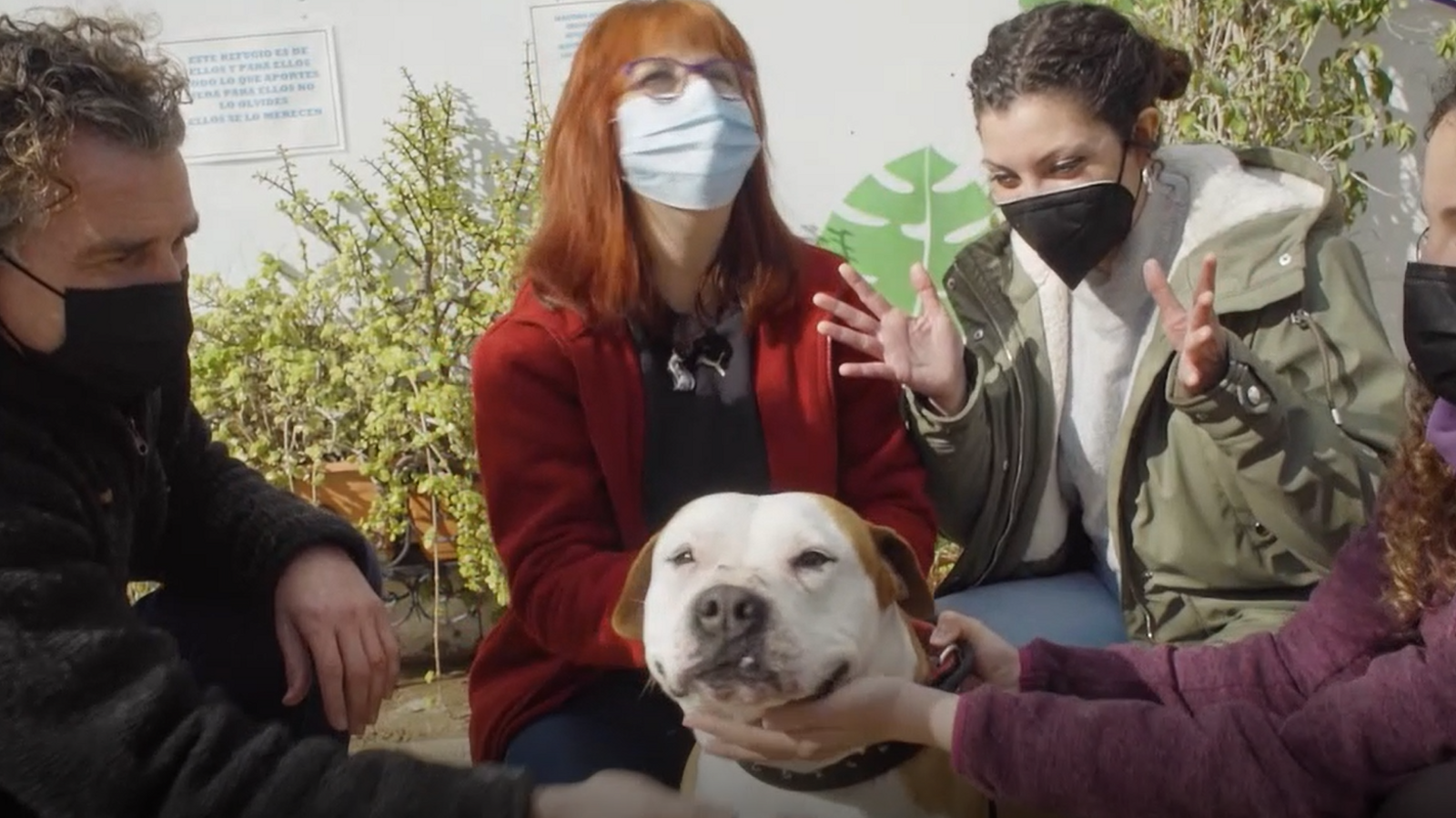 La nova llei de protecció animal