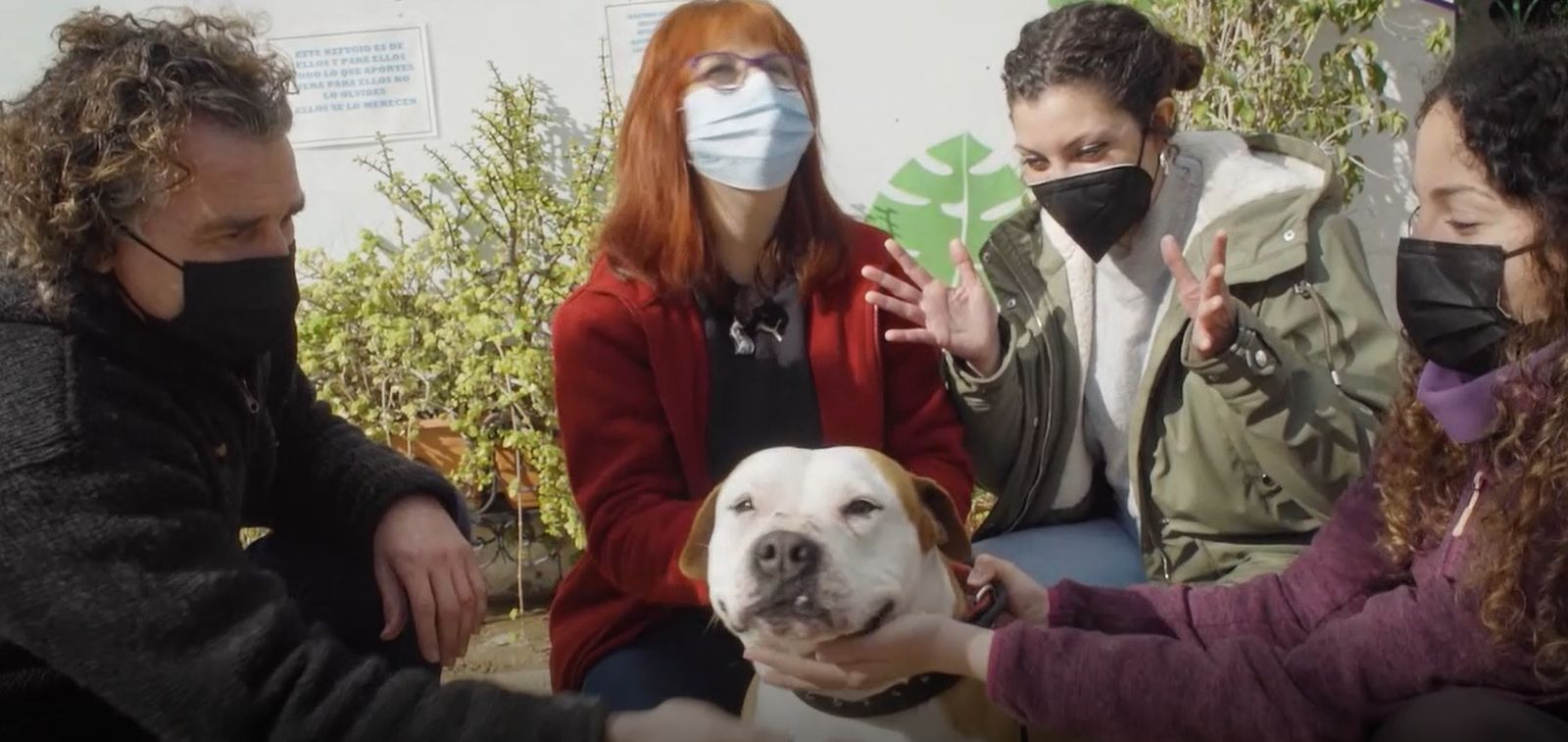 La nova llei de protecció animal
