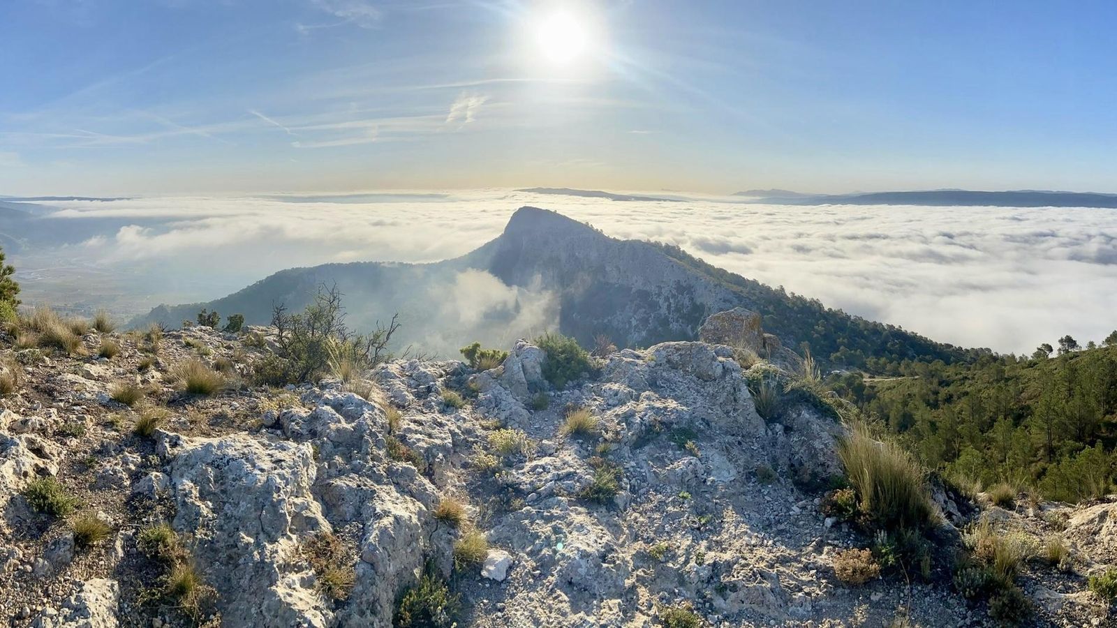 LA FONT DE LA FIGUERA, LA COSTERA