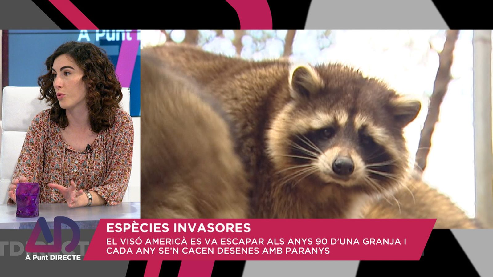 Espècies invasores
