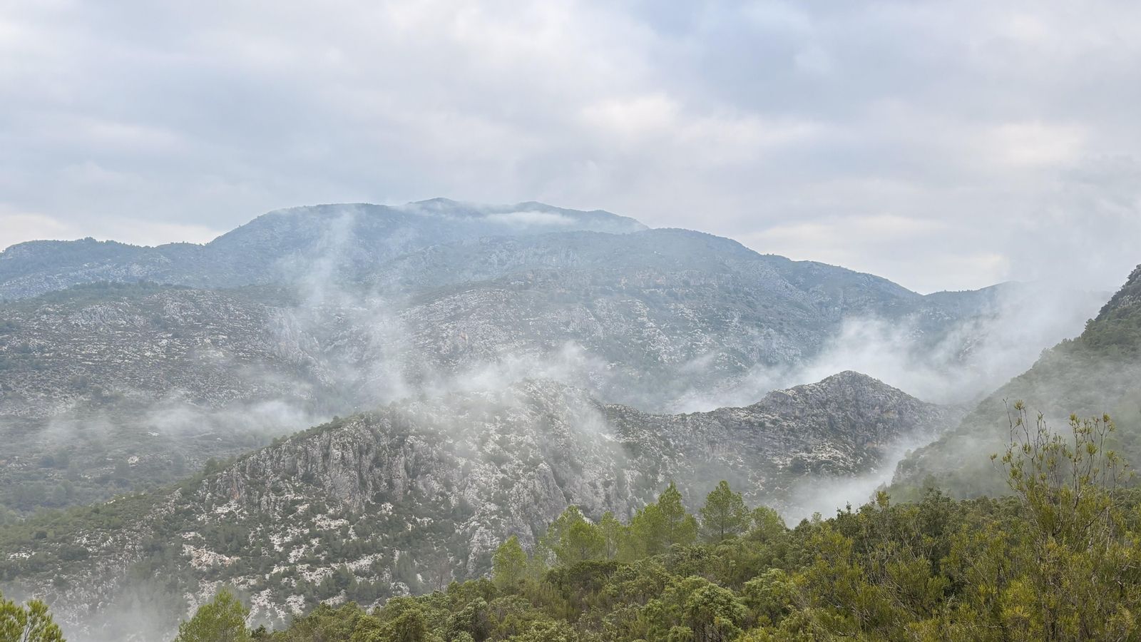 JOAN FEMENIA, l'Orxa, el Comtat