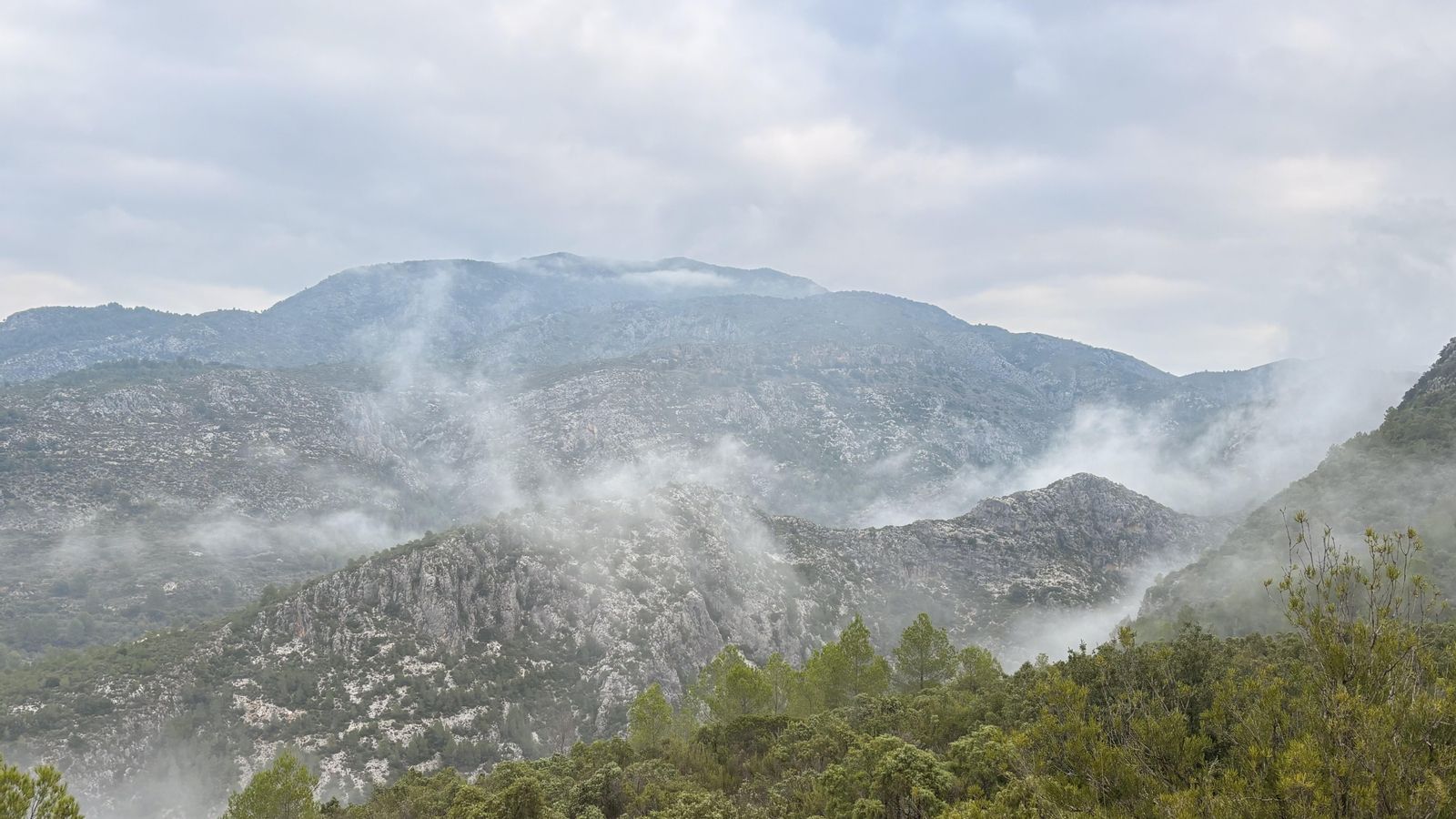 Boirines a l'Orxa, el Comtat JOAN FEMENIA, l'Orxa, el Comtat