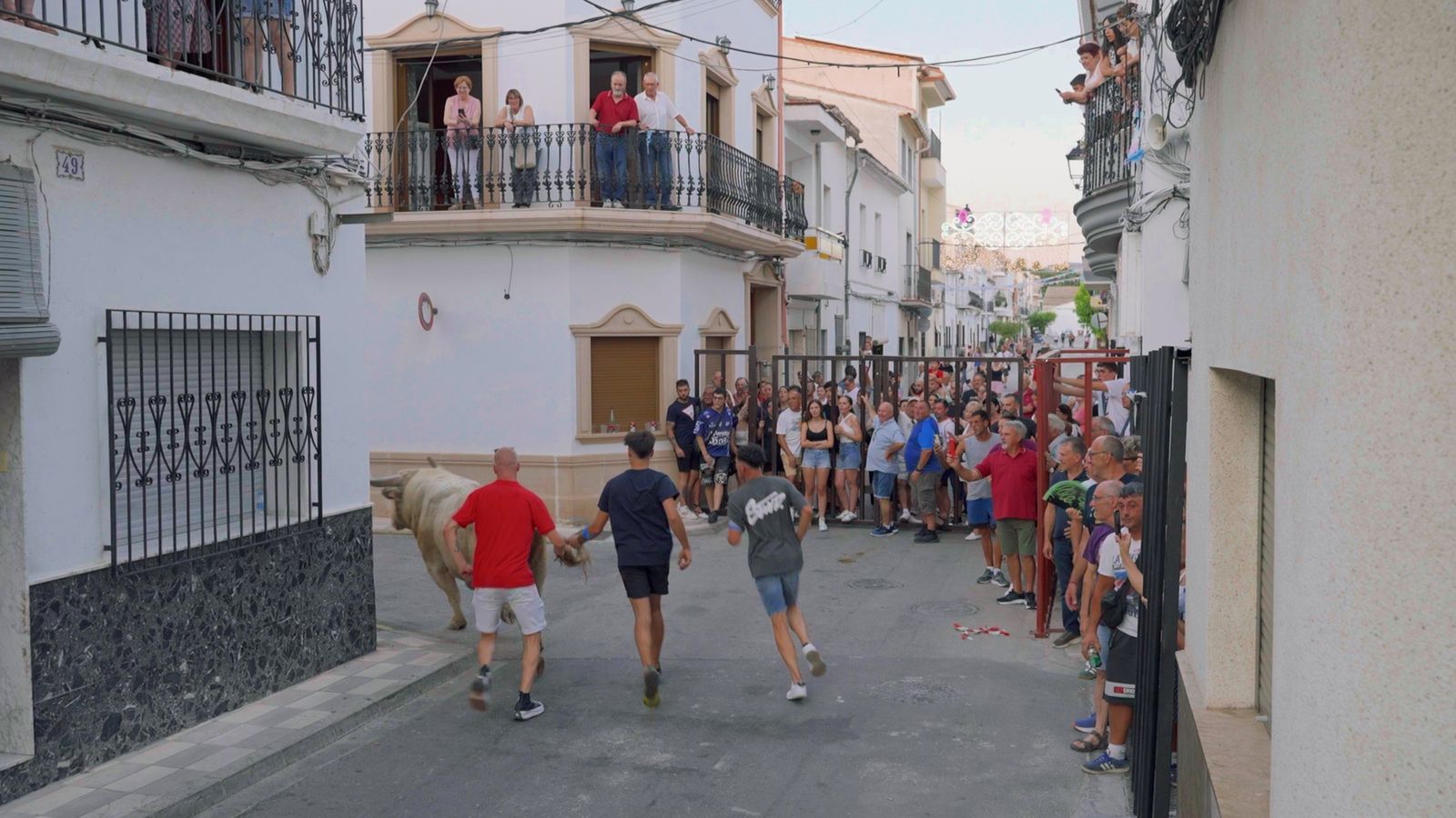 El programa de festes dels dilluns per la nit també donarà cabuda als bous al carrer de Quatretonda