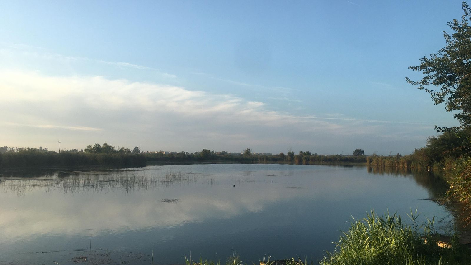 ESTANY D'ALMENARA
