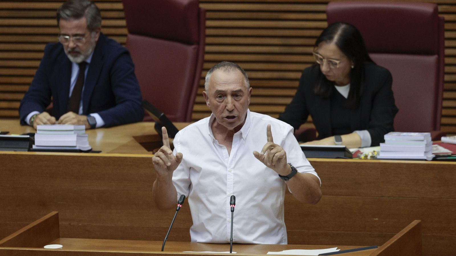 El síndic de Compromís, Joan Baldoví, durant el debat de política general a les Corts