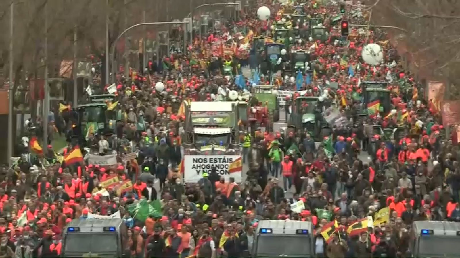 Testimonis valencians a la protesta agrària