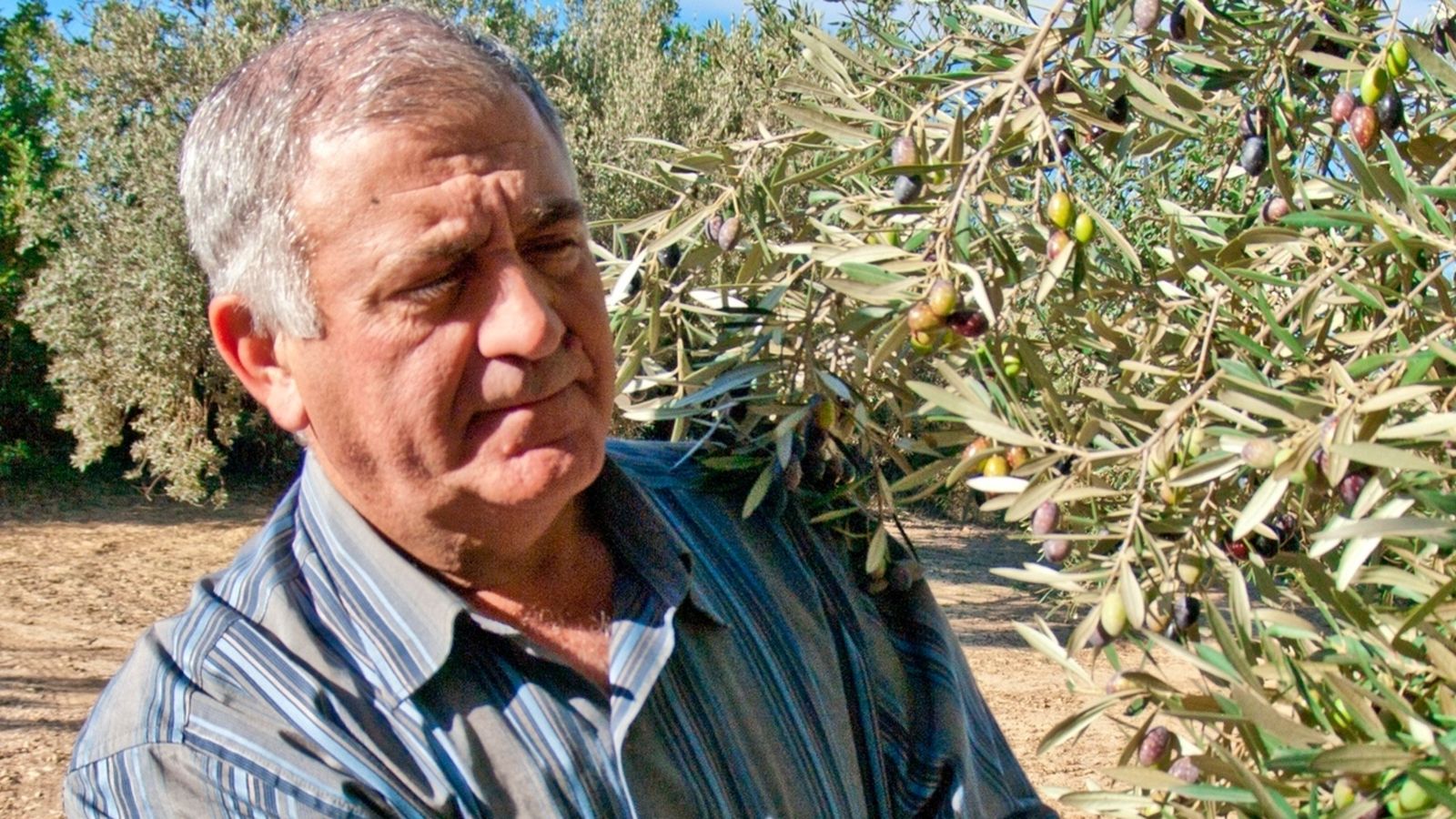 23.10.2018 | Efectes de la gota freda al camp valencià