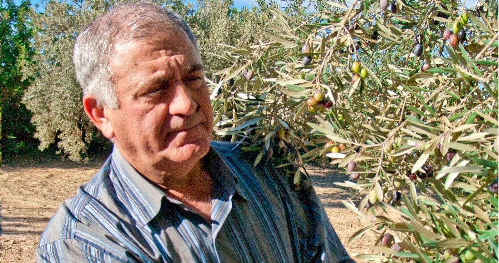 23.10.2018 | Efectes de la gota freda al camp valencià