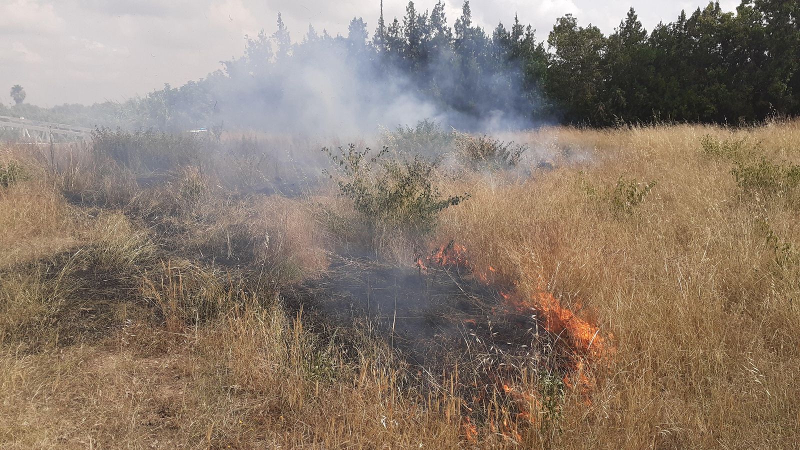 Un dels incendis provocats Un dels incendis provocats