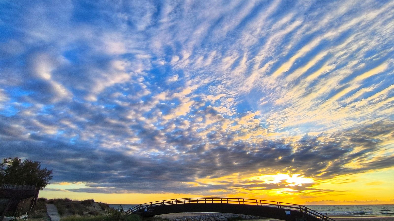 1. MARENY DE BARRAQUETES, SUECA