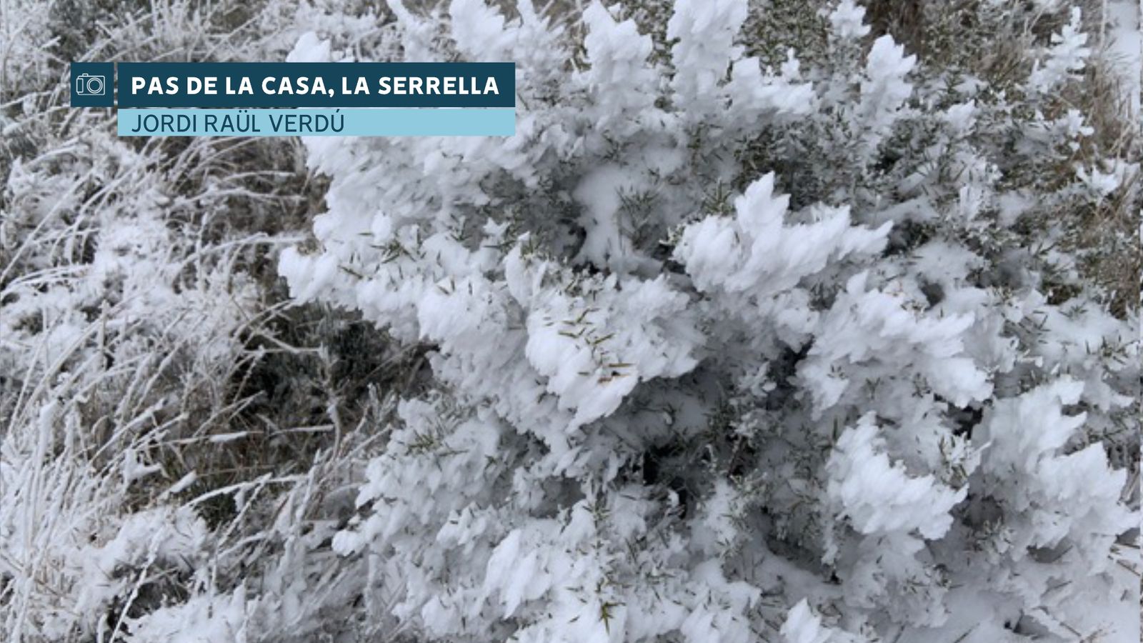 Gener del 2023, sec i tèrmicament normal, però amb dos cares