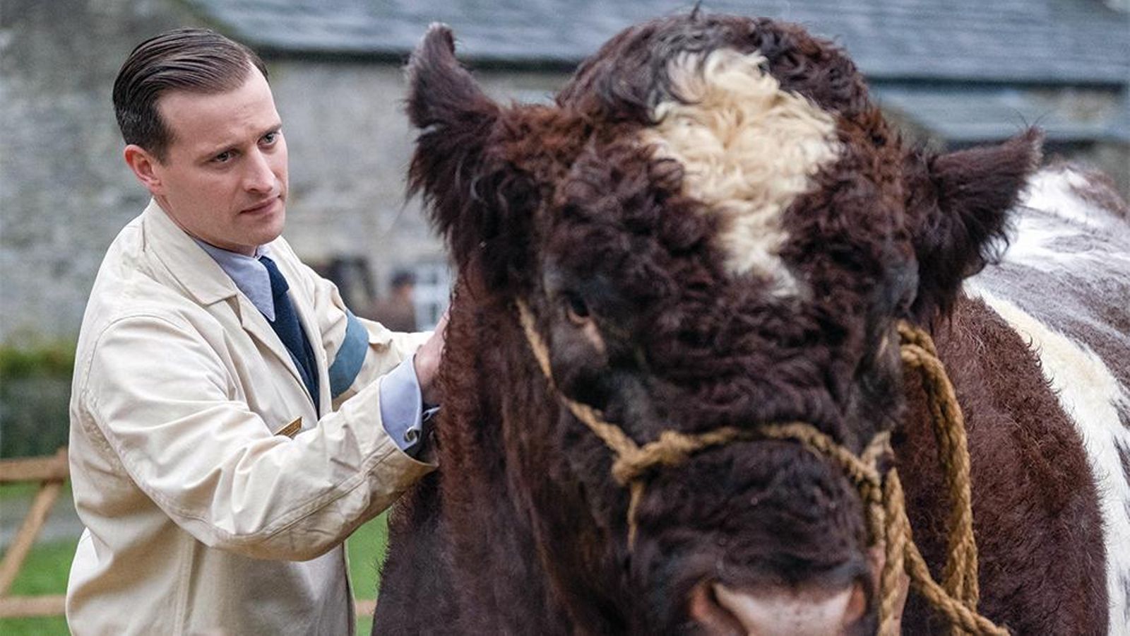 El veterinari, en un moment de la sèrie Un moment de la sèrie