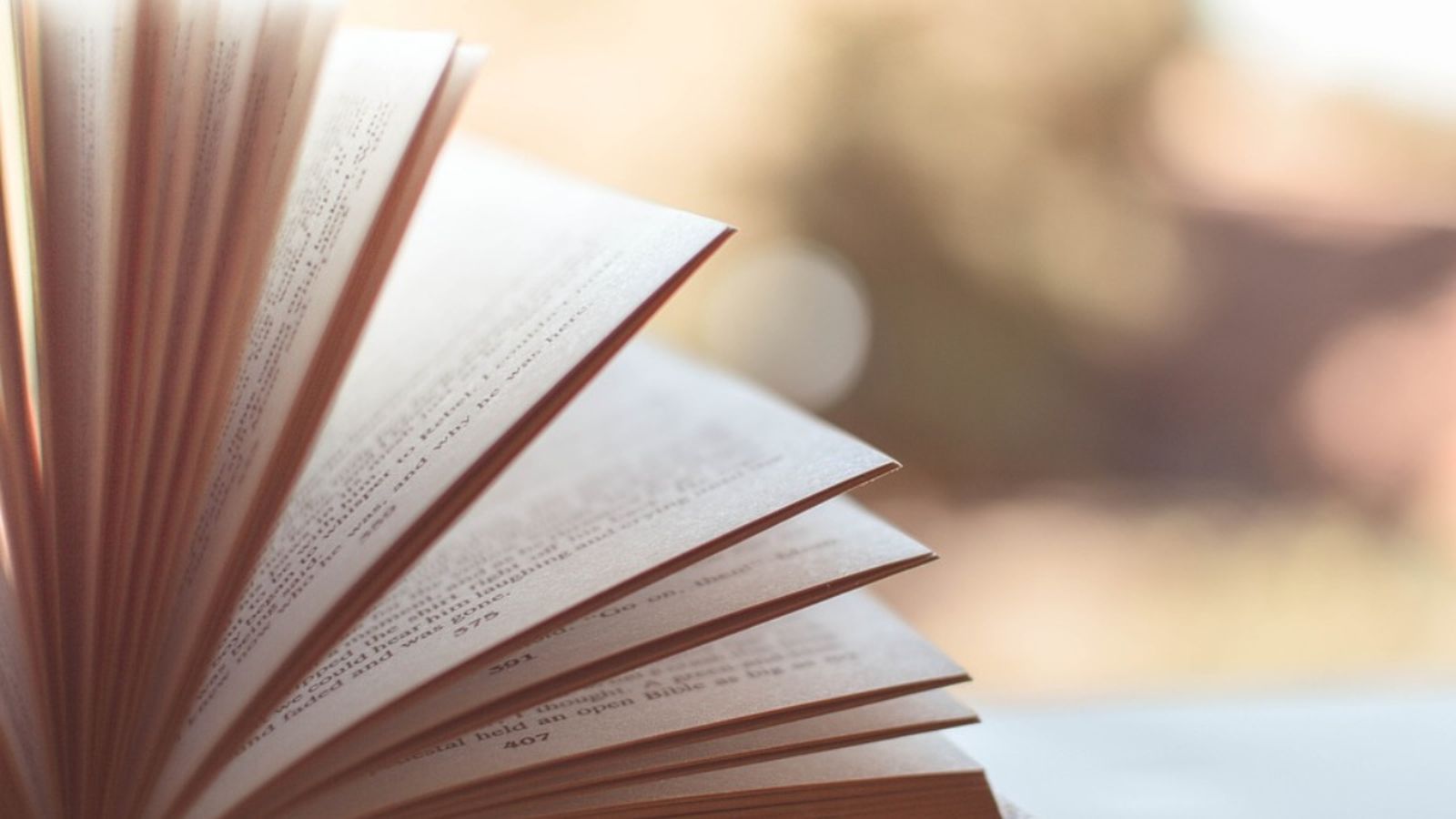 Aquesta edició 242 originals