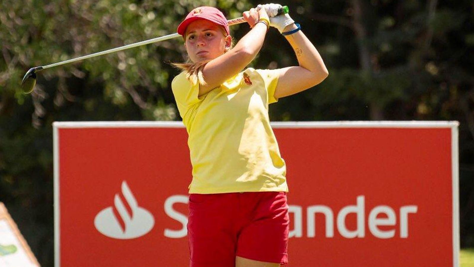 202565521 339736764335861 8905439924658520769 n