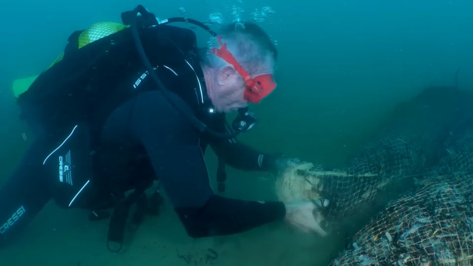 Posidònia alcossebre